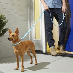 - ⛔️ CLEARANCE ⛔️ (XS-S) Frosted Bear Pet Leash